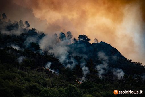 Incendi in Piemonte, Uncem: "Non solo una crisi, una tragedia climatica"