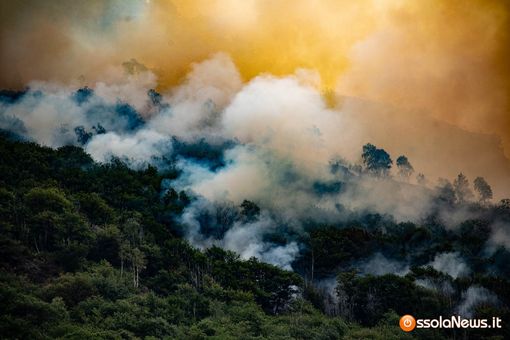 Premosello Chiovenda ringrazia chi ha affrontato l'emergenza incendio: "La nostra comunità ha mostrato il suo volto migliore" Premosello Chiovenda ringrazia chi ha affrontato l'emergenza incendio: "La nostra comunità ha mostrato il suo volto migliore"