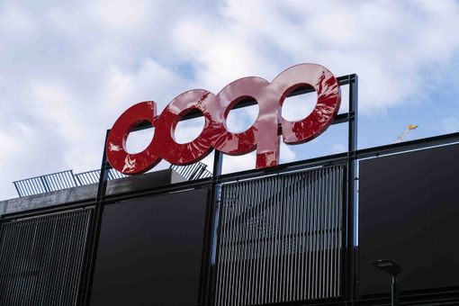 Torna l'iniziativa "Dona la spesa" per gli animali meno fortunati Torna l'iniziativa "Dona la spesa" per gli animali meno fortunati