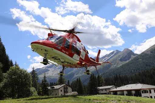 Diciassettenne travolto da un albero: è grave