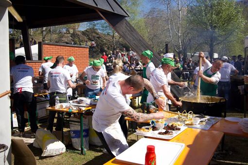 Successo per la sesta edizione della Fiera Agricola Cireggese FOTO Successo per la sesta edizione della Fiera Agricola Cireggese FOTO