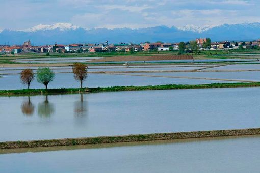 Il clima pazzo penalizza le coltivazioni piemontesi, ma il colpo di grazia arriva dall'inflazione