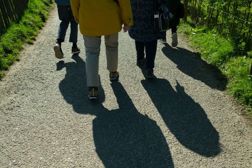 "Uniti insieme", a Gravellona una camminata a sostegno di Angsa Vco