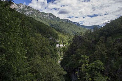 Trasformazione del bosco: la giunta abbassa a 10.000 euro l’importo base per il calcolo della compensazione Trasformazione del bosco: la giunta abbassa a 10.000 euro l’importo base per il calcolo della compensazione