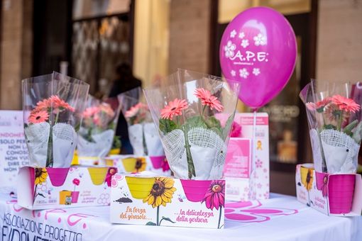Tornano a Verbania i "Fiori della consapevolezza" contro l'endometriosi