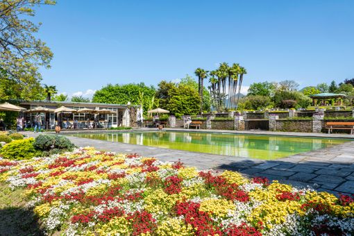I Giardini di Villa Taranto si rinnovano: nuove fioriture e sorprese per i visitatori I Giardini di Villa Taranto si rinnovano: nuove fioriture e sorprese per i visitatori