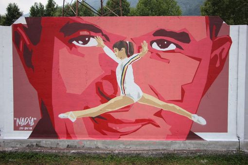 Prosegue la polemica politica sul murales della Comaneci allo stadio Boroli Prosegue la polemica politica sul murales della Comaneci allo stadio Boroli