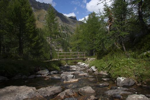 Proposta di legge per valorizzare le reti escursionistiche, Cristina (Fi): “Un'opportunità di crescita per il Vco”