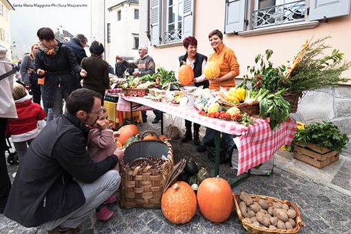 A Santa Maria Maggiore torna 'Fuori di Zucca' A Santa Maria Maggiore torna 'Fuori di Zucca'