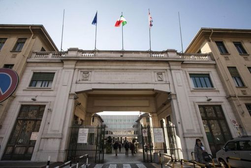 Donazione di organi, in Piemonte crollano i consensi: dall’80 al 60% dopo la pandemia Donazione di organi, in Piemonte crollano i consensi: dall’80 al 60% dopo la pandemia