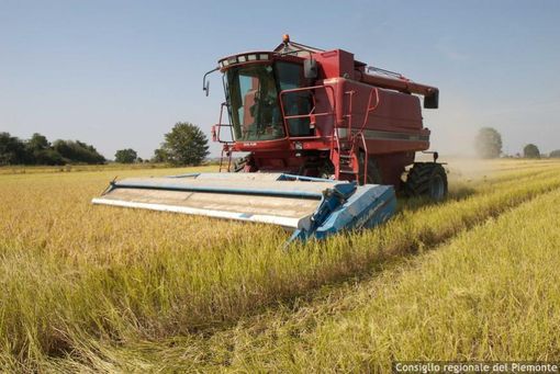 Marco Protopapa (Lega): “Difendere l’agricoltura italiana dalle derive ideologiche della nuova Pac europea”