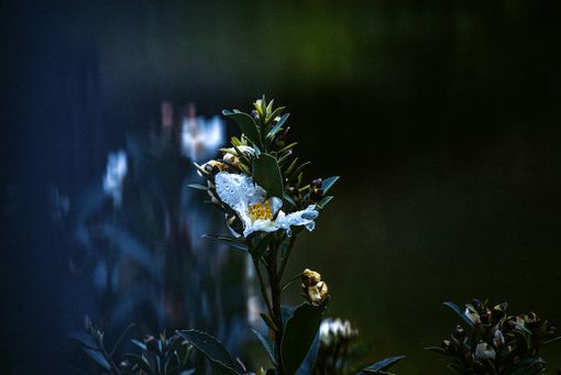 "Quasi Paesaggi": l'arte fotografica di Romina Emili "Quasi Paesaggi": l'arte fotografica di Romina Emili