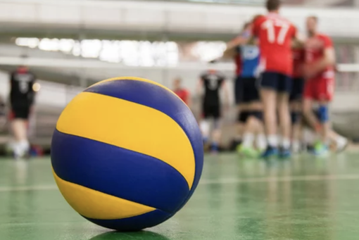 I risultati del settore giovanile Rosaltiora I risultati del settore giovanile Rosaltiora