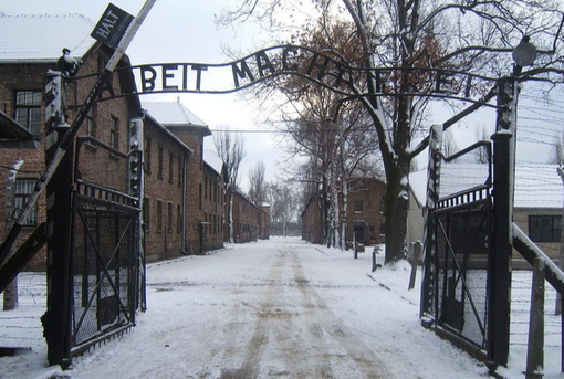 Giorno della Memoria, Cna Piemonte: "Ricordare è un dovere collettivo" Giorno della Memoria, Cna Piemonte: "Ricordare è un dovere collettivo"