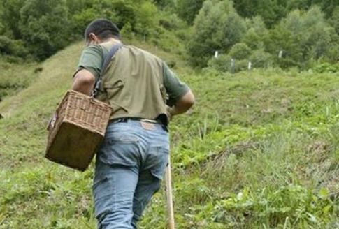 Settembre drammatico nei boschi del Vco: tre morti e decine di soccorsi Settembre drammatico nei boschi del Vco: tre morti e decine di soccorsi