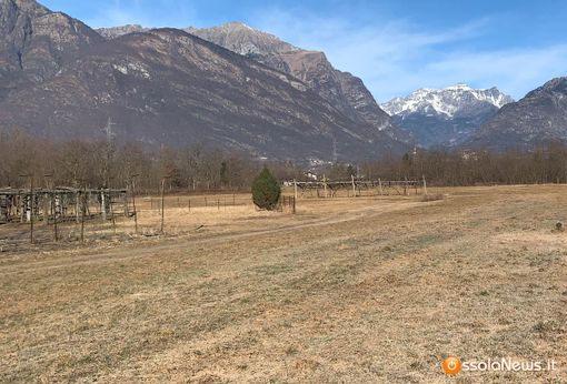 Coldiretti Novara-Vco: "Sospensione temporanea del calcolo rivalutativo dei canoni di affitto" Coldiretti Novara-Vco: "Sospensione temporanea del calcolo rivalutativo dei canoni di affitto"