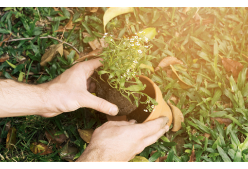 Energia verde e nuove tecnologie: se ne parla a Vercelli