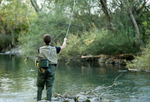 Gli ambientalisti all'attacco della trota mediterranea Gli ambientalisti all'attacco della trota mediterranea
