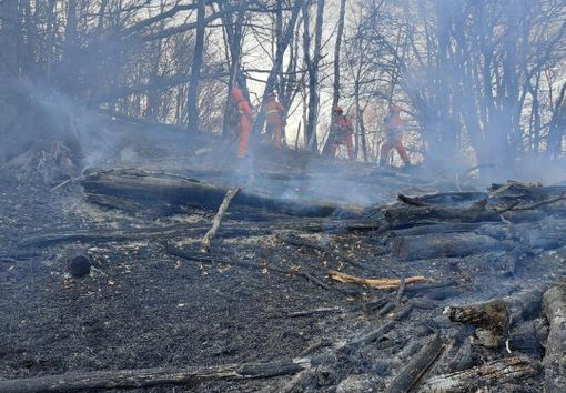 Foto Facebook Corpo Aib Piemonte