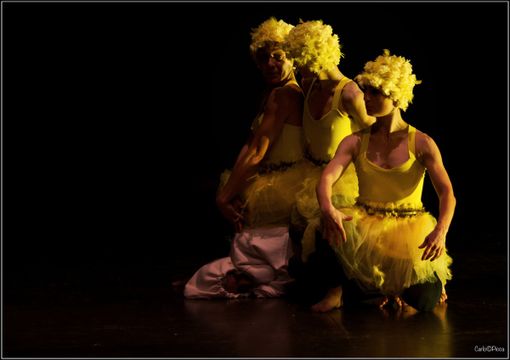 Il Brutto Anatroccolo torna a danzare a Verbania: laboratori e spettacoli per bambini Il Brutto Anatroccolo torna a danzare a Verbania: laboratori e spettacoli per bambini