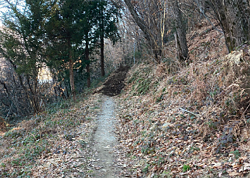 Grazie all'iniziativa di cinque cittadini rinasce il sentiero Borca-Crabbia Grazie all'iniziativa di cinque cittadini rinasce il sentiero Borca-Crabbia