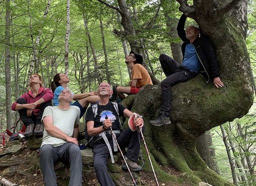 Arriva al cinema 'A Riveder le stelle', il docufilm girato in val Grande