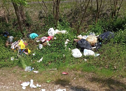 Abbandono di rifiuti a Gravellona Toce, Morandi: "Certi scenari non sono più tollerabili"