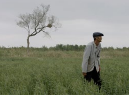 Al via la nuova edizione del festival "Corto e Fieno" Al via la nuova edizione del festival "Corto e Fieno"