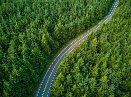 Green Deal: "Su inchiesta de Telegraaf su Timmermans pretendiamo trasparenza" Green Deal: "Su inchiesta de Telegraaf su Timmermans pretendiamo trasparenza"