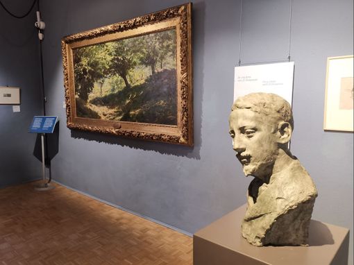 &quot;Selvaggia aspra e forte&quot;: Laura Pariani presenta il romanzo storico dedicato a Guido Boggiani