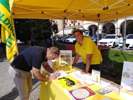 Un successo il mercato di Campagna Amica a Verbania