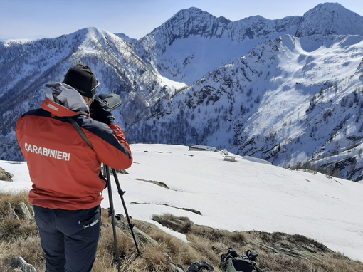 Trovate impronte di un orso in Val Grande
