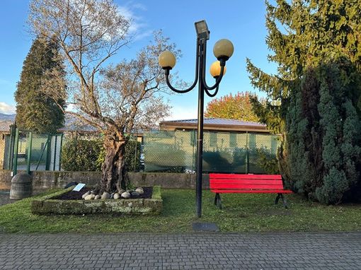 Il liceo Cavalieri inaugura una panchina rossa contro la violenza sulle donne Il liceo Cavalieri inaugura una panchina rossa contro la violenza sulle donne