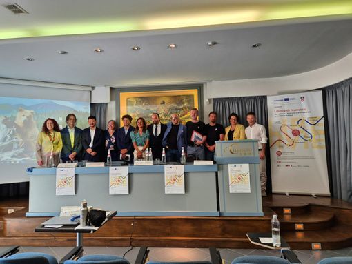 Gaiardelli: “Con Libervie costruiamo un turismo culturale accessibile e inclusivo tra Piemonte e Ticino” Gaiardelli: “Con Libervie costruiamo un turismo culturale accessibile e inclusivo tra Piemonte e Ticino”