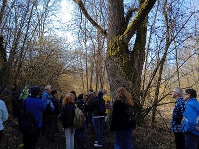 Quando il clima cambia cosa succede alla biodiversità