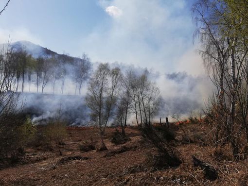 Ancora fiamme alle pendici del Mottarone