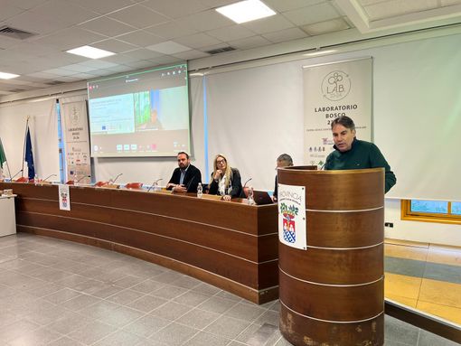 Laboratorio Bosco, Preioni: "Progetto innovativo per valorizzare la filiera forestale" Laboratorio Bosco, Preioni: "Progetto innovativo per valorizzare la filiera forestale"