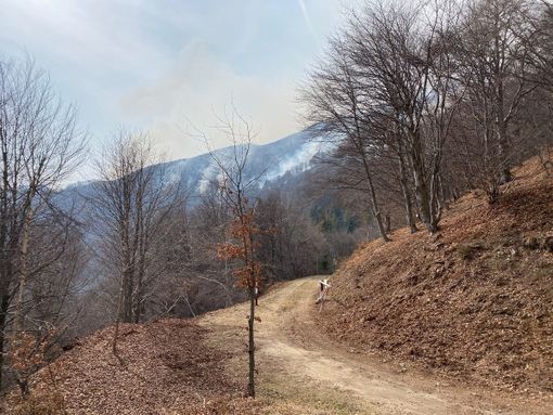 Valle Strona, il fronte del fuoco supera i 4 chilometri. Ora si spera nell'aiuto della pioggia FOTO