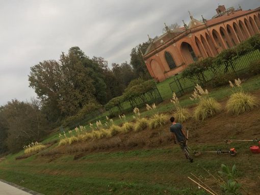 Regione, un percorso formativo per 100 giardinieri dei parchi storici del Piemonte Regione, un percorso formativo per 100 giardinieri dei parchi storici del Piemonte