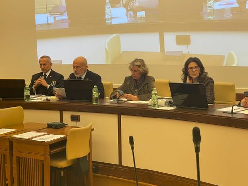 La commissione difesa al Senato durante la riunione di oggi
