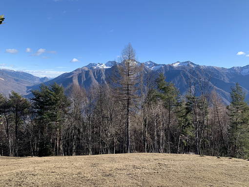 Non piove dall'8 dicembre, la Regione chiede un osservatorio sulla crisi idrica Non piove dall'8 dicembre, la Regione chiede un osservatorio sulla crisi idrica