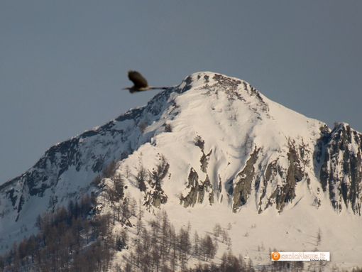 Qualità dell'aria accettabile nel Vco, situazione 'critica' nel vicino Vallese