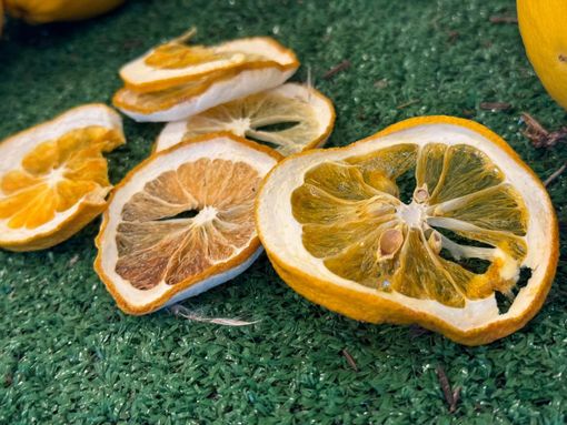 Taglio del nastro per la mostra gli Agrumi di Cannero Riviera