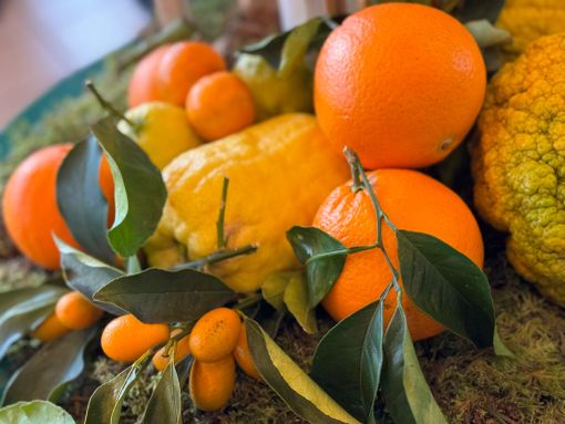 Agrumi di Cannero, tanti appuntamenti nel weekend