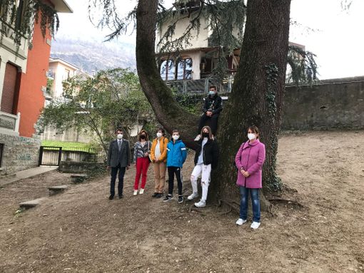 Scrittori in erba, il tema scelto per la quarta edizione è il “Verde Vivente” Scrittori in erba, il tema scelto per la quarta edizione è il “Verde Vivente”