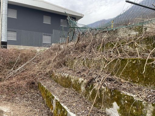 Degrado al campo di Verta: la denuncia di Luigi Songa   FOTO
