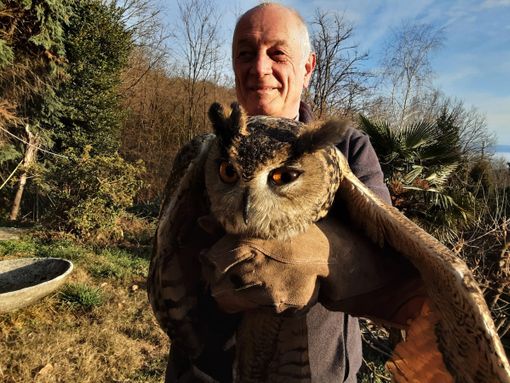 Il nuovo centro di recupero per animali selvatici sorgerà a Gravellona Il nuovo centro di recupero per animali selvatici sorgerà a Gravellona