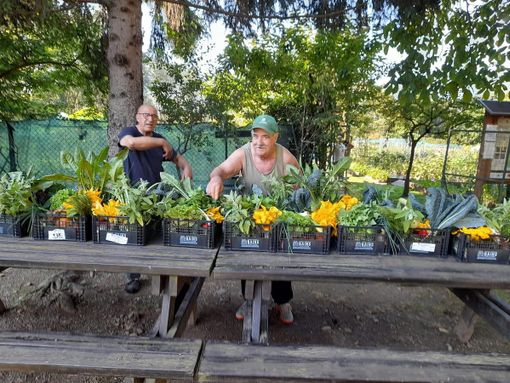 Con la Pro Senectute la tradizionale "Festa degli orti" Con la Pro Senectute la tradizionale "Festa degli orti"