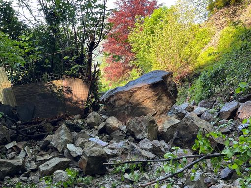 Conclusi i lavori di disgaggio sulla strada per l'Alpe Selviana