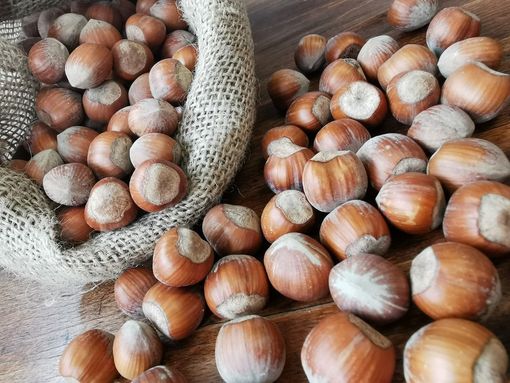 Regione Piemonte, le eccellenze gastronomiche a bordo di Costa Diadema Regione Piemonte, le eccellenze gastronomiche a bordo di Costa Diadema